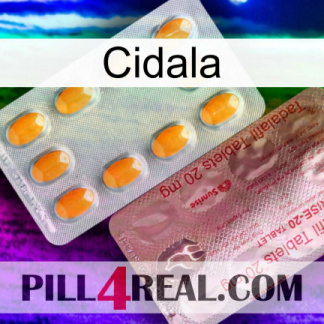 Cidala new13